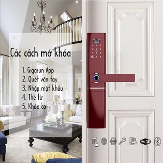 Khóa cửa thông minh Gigasun D07R
