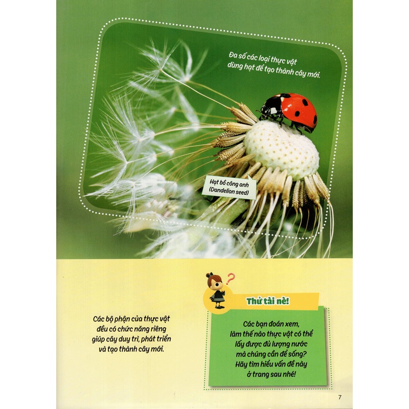 Sách Học Vui Hiểu Rộng Biết Nhiều- Cây Cối Diệu Kì