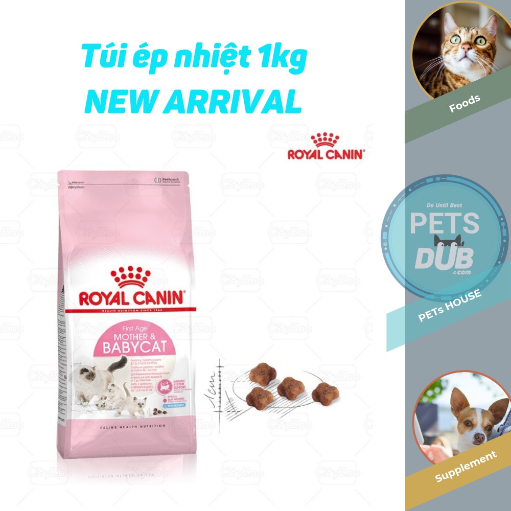 TÚI (TÁCH CHUẨN 1KG) CÁC HÃNG ROYAL, CATSRANG, CAT'S EYE, Hạt Ý MORANDO THỨC ĂN CHO MÈO MẸ & MÈO CON TẬP ĂN (PETs dub)