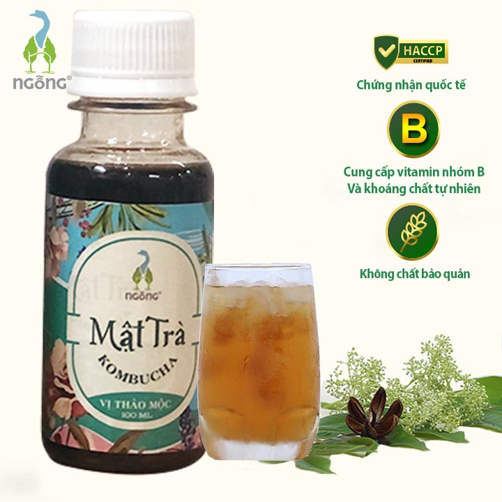 Mật Trà Kombucha Thảo Mộc 100ml