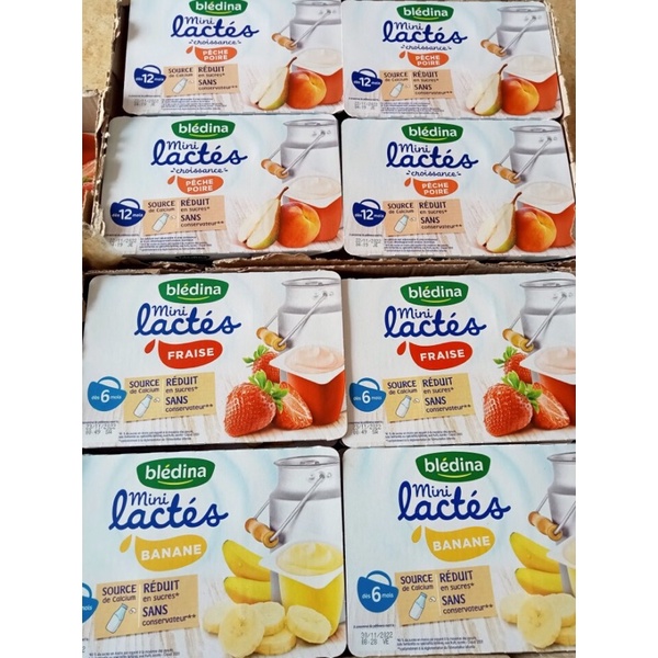 Sữa chua BLEDINA Pháp Vỉ 6hx55g