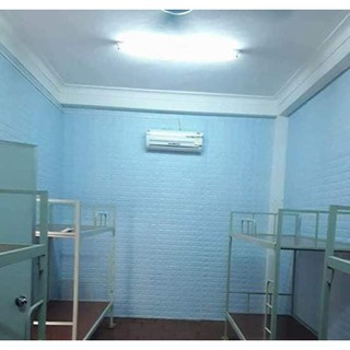 Xốp dán tường