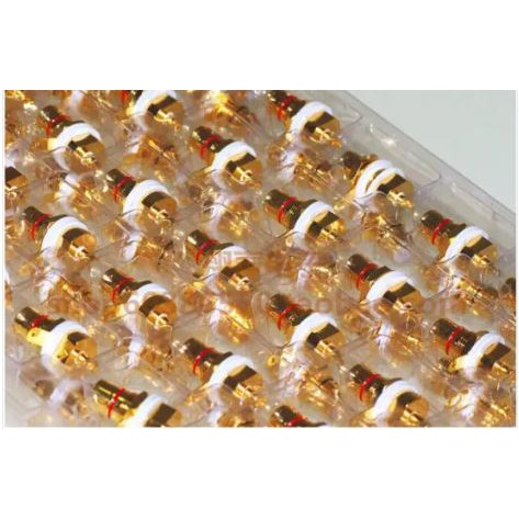 Giắc RCA mạ vàng