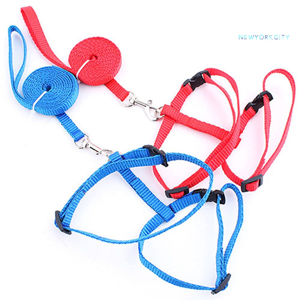 Dây Dắt Thú Cưng Đi Dạo Bằng Nylon