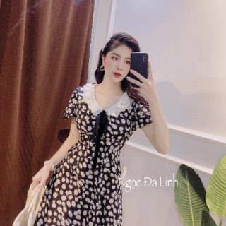 Váy cổ ren tiêu thư