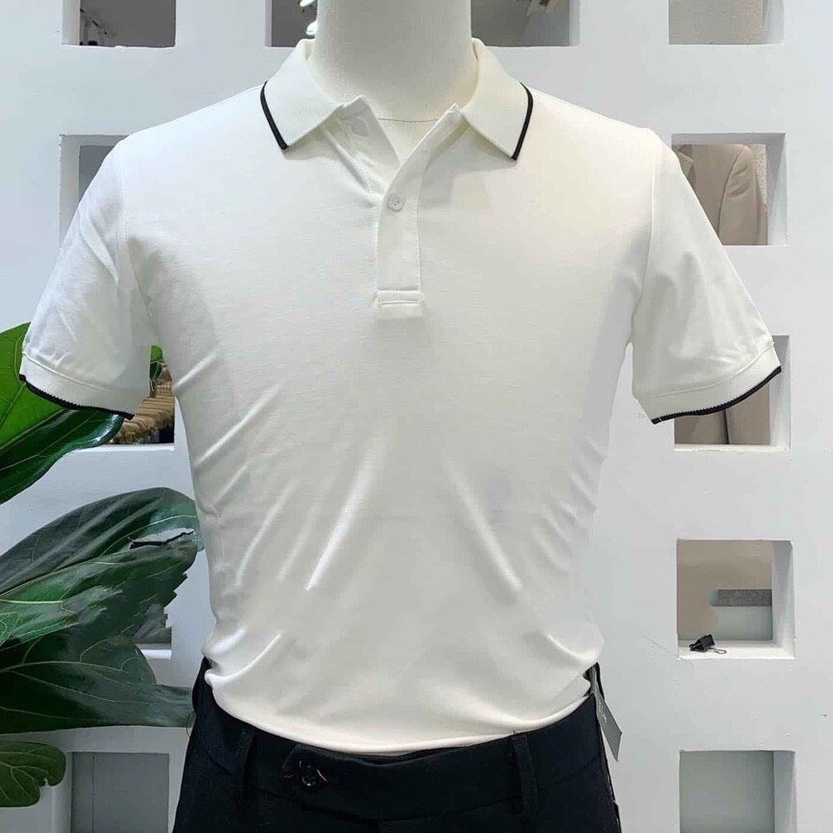 Áo thun nam có cổ polo vải trơn tay ngắn giá rẻ F8888 Viền Tay AP0011