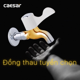 [Caesar] VÒI TƯỜNG - VÒI HỒ CAESAR W027C