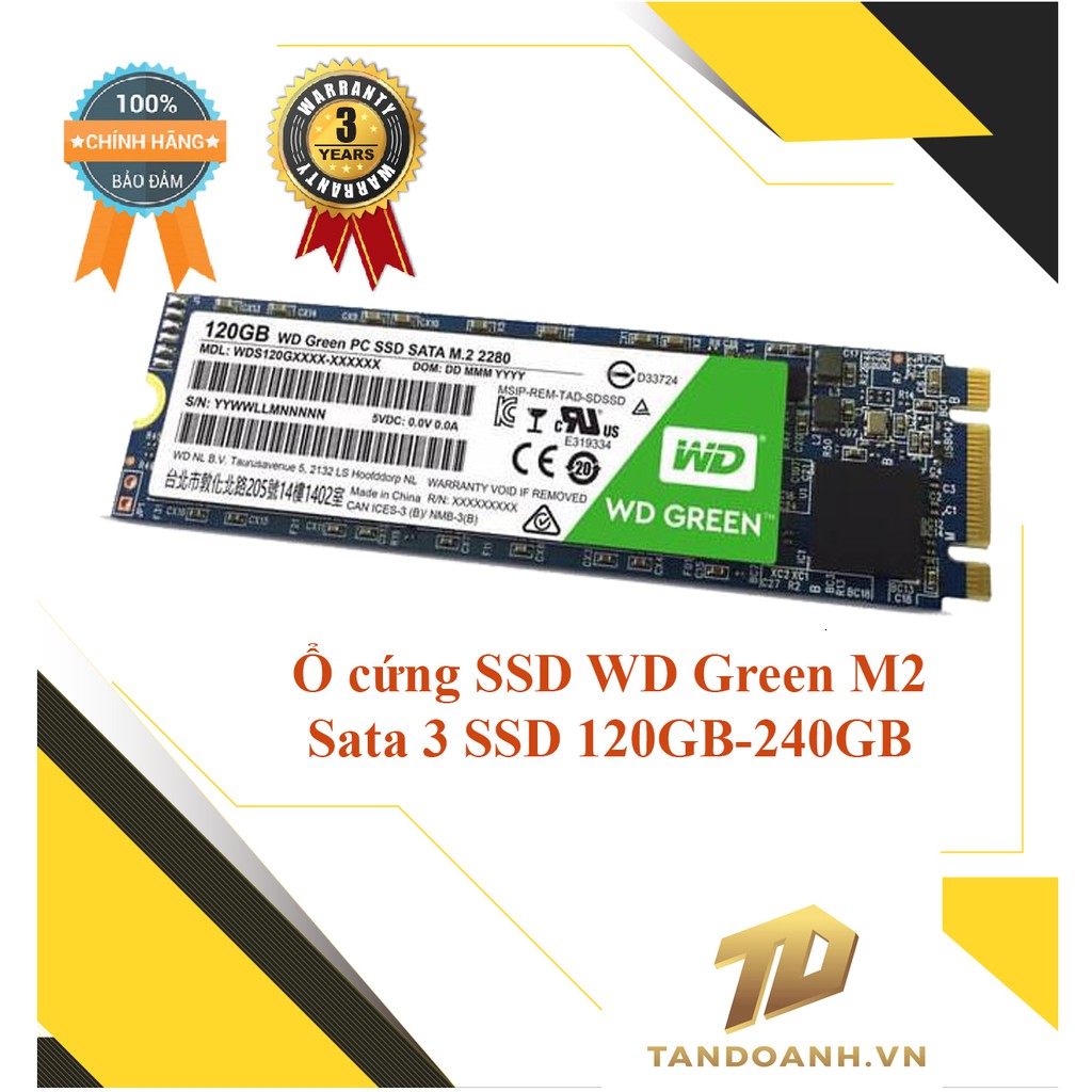 Ổ cứng SSD Western Digital Green M2- M2 Sata 3 SSD 120GB-240GB