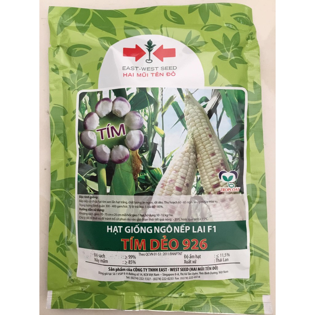 Hạt giống bắp nếp lai F1 Tím Dẻo 926 Hai Mũi Tên Đỏ gói 100g