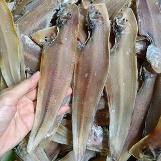 Khô cá lưỡi trâu nhiều nắng (500g, size nhỏ - lớn)