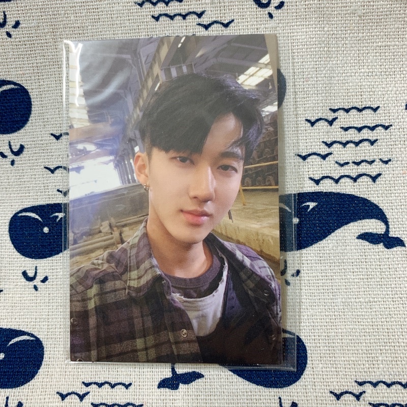 Card Changbin - Stray Kids