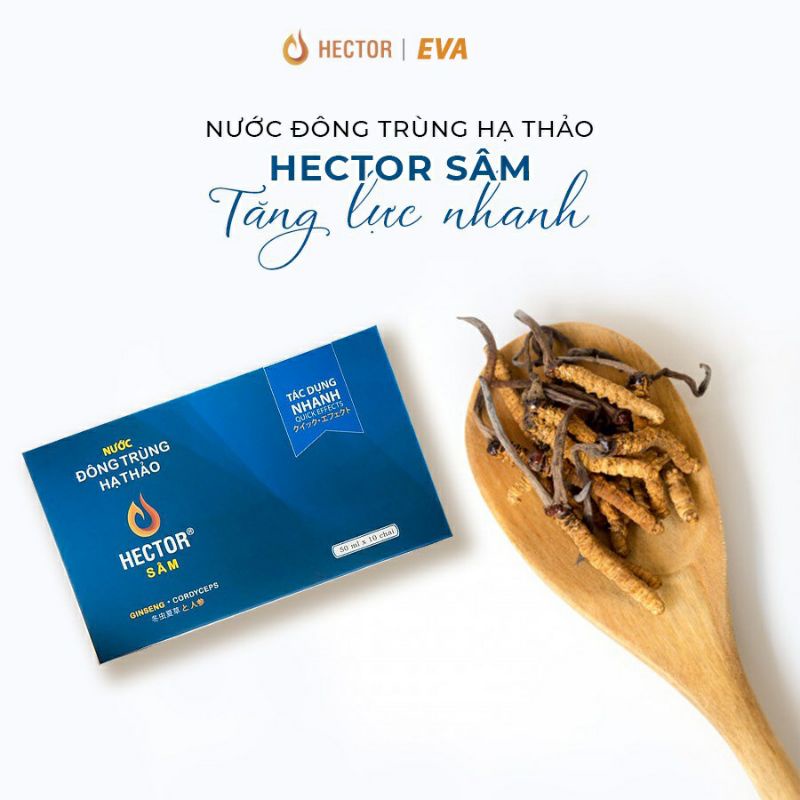 NƯỚC UỐNG ĐÔNG TRÙNG HẠ THẢO HECTOR SÂM 1 HỘP 10 CHAI
