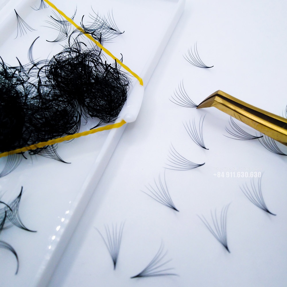 Mi Fan 7d - 0.07 - 500fan - Mi Fan/ Xuất Khẩu - Dụng Cụ Nối Mi - Huy Hoàng Mi