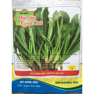 Hạt giống mùi tàu, hạt giống ngò gai 5gr