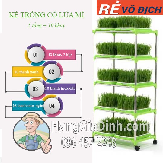 Bộ kệ trồng rau mầm cỏ lúa mì 5 tầng + 10 khay 2 lớp khung inox có bánh xe
