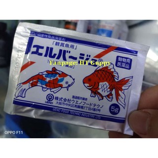 Tetra Nhật - Chuyên xử lý các vấn đề nấm và ngoài da cho cá cảnh.