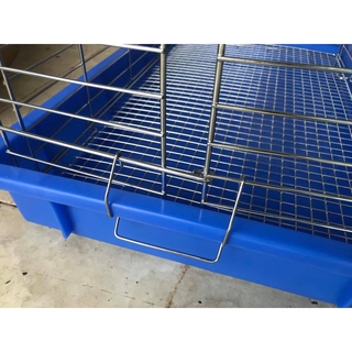 Lồng chứa chăm sóc Vẹt non