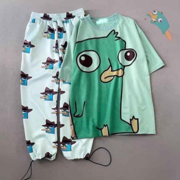 Set bộ đùi hoạt hình thú mỏ vịt UNISEX quần cartoon kèm áo thun tay lỡ siêu xinh kèm ảnh/video thật siêu đẹp