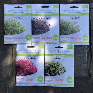 [PLANTICO] HẠT GIỐNG RAU MẦM HỮU CƠ - Organic Vegetable Sprouts