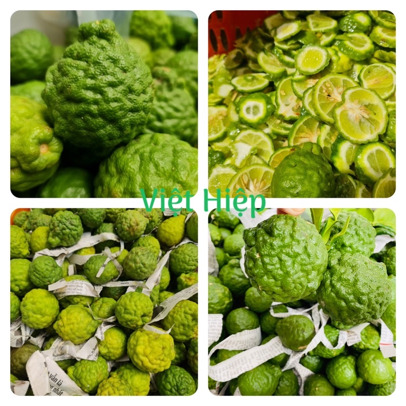 TRÁI CHÚC TƯƠI  VIỆT HIỆP