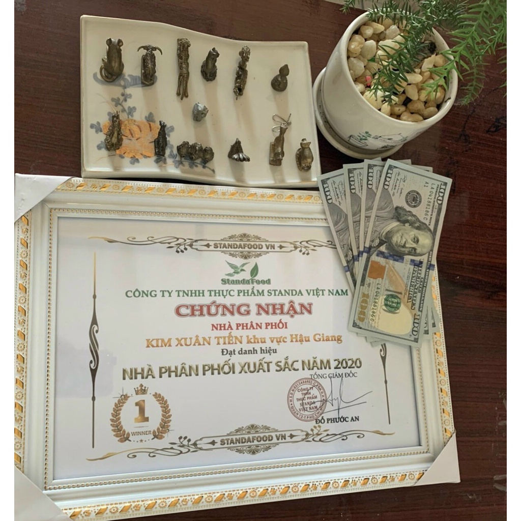 Trà Hoa Cúc Standa Food