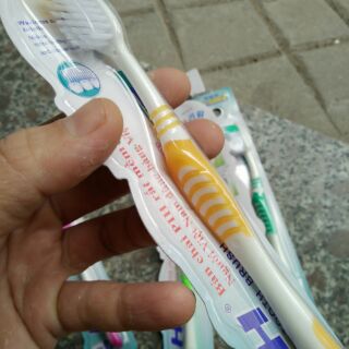 [Set 2] Bàn chải đánh răng PH sợi mềm