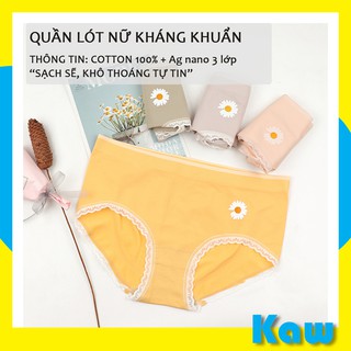 Quần lót nữ hoa cúc, quần lót nữ sợi tre kháng khuẩn set 4 màu