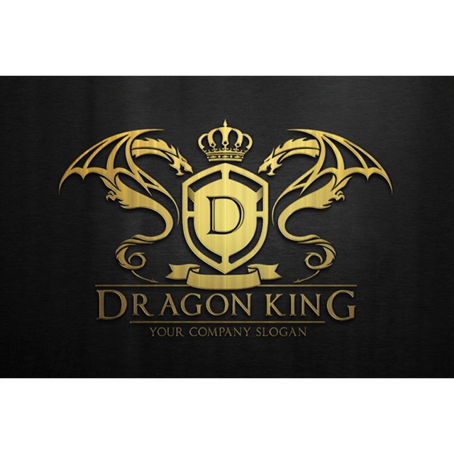 VCM Dragon