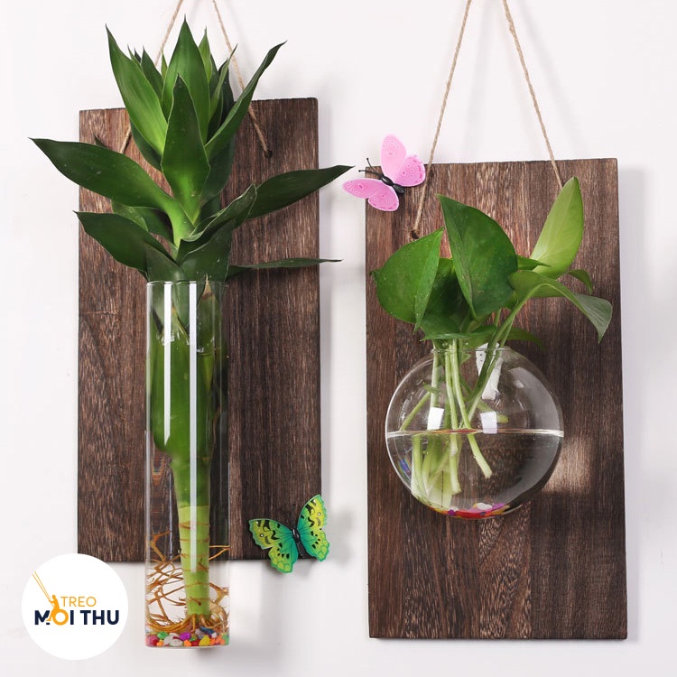 Bình Thủy Tinh Trồng Cây Thủy Sinh Treo Tường - Siêu nhẹ - Tặng kèm bảng gỗ, móc treo - VASE02