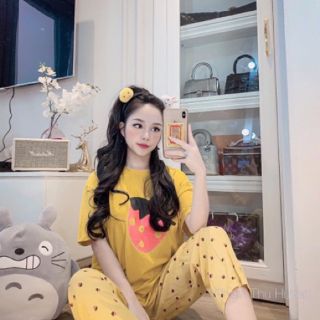 Sét bộ quần dài