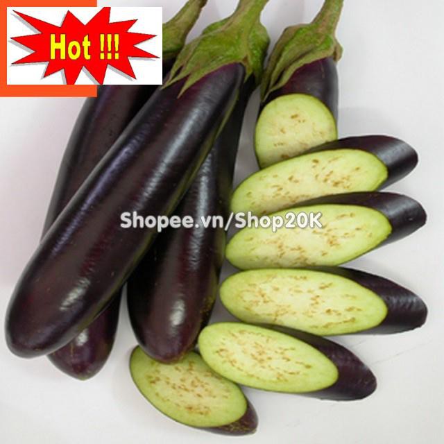 Hạt giống Cà tím (Cà nâu cơm xanh)