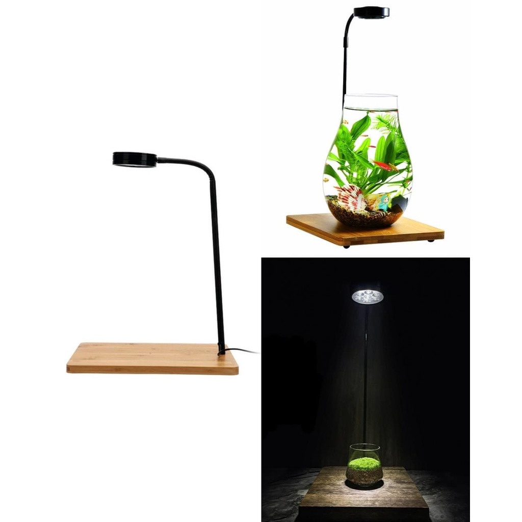 ĐẾ GỖ CÓ ĐÈN LED RỌI CHO CHẬU THỦY SINH THỦY SINH