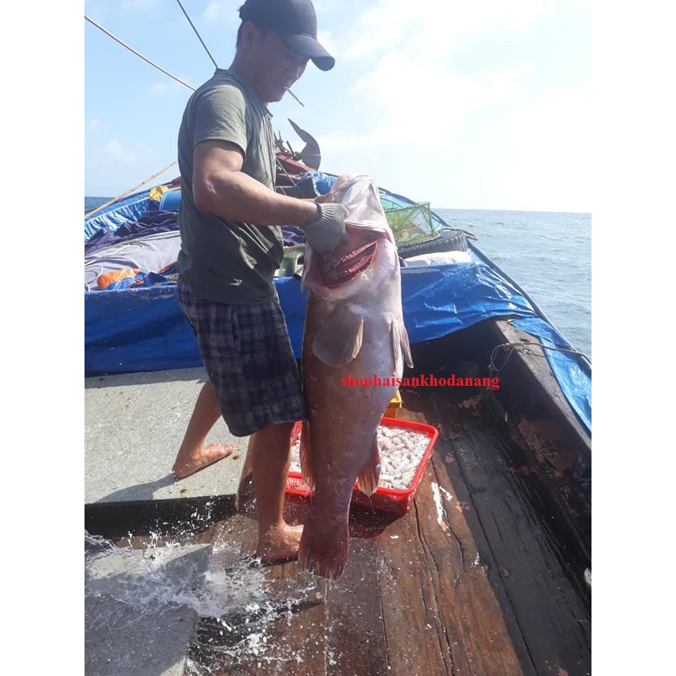 Mực rim me nguyên con đặc sản đà nẵng siêu ngon 200gr | BigBuy360 - bigbuy360.vn