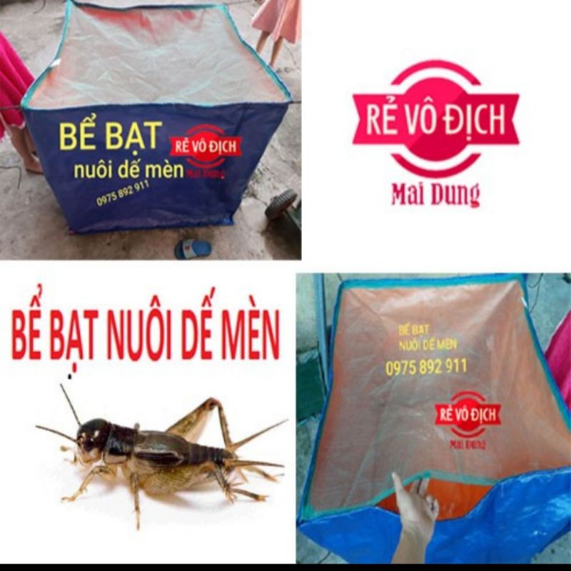 bể bạt nuôi dế mèn