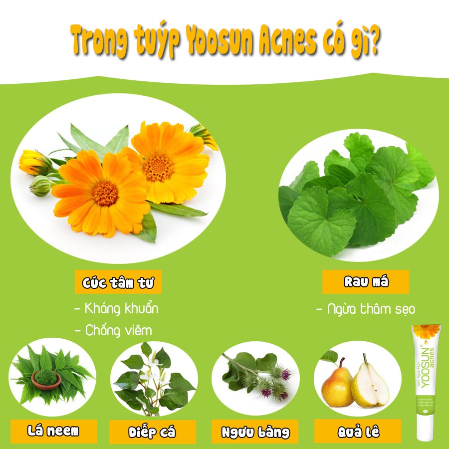 [MUA 2 TẶNG 1]Mua 2 tuýp kem ngừa mụn, kiểm soát bã nhờn, ngừa thâm sẹo YOOSUN Acnes 15g/tuýp-Tặng 1 bấm móng tay