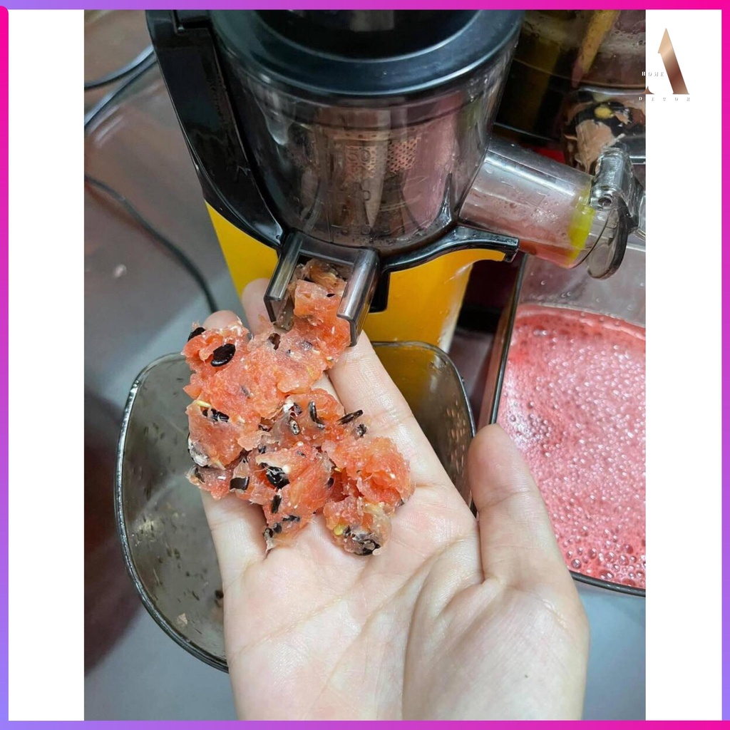 Máy ép chậm, máy ép trái cây chính hãng Nineshield - Bảo hành 12 tháng - HomeArt KitchenLovers