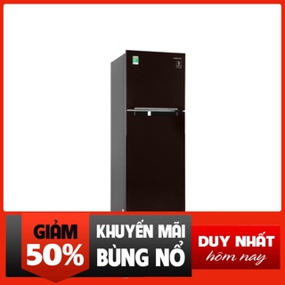 Giao hàng toàn quốc_ tủ lạnh samsung inverter 256 lít rt25m4032by/sv _miễn phí lắp đặt