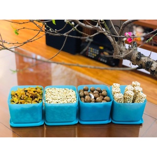 Hộp bảo quản thực phẩm Medium Summer Fresh