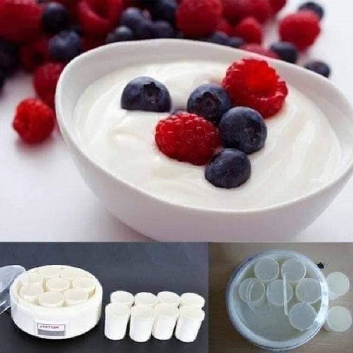 Máy làm sữa chua yogurt hitor Việt Nam