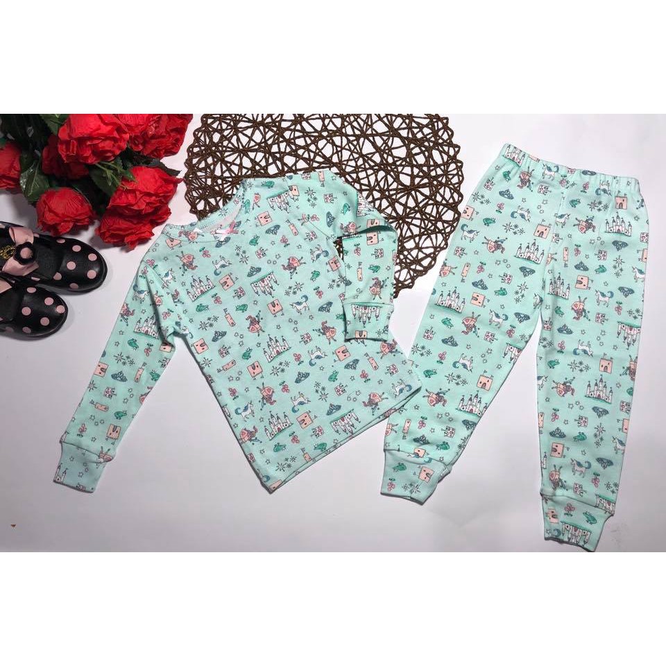 Bộ dài tay cho bé gái thun borip hàng Carter