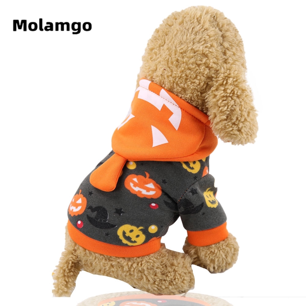 Áo MOLAMGO Họa Tiết Bí Ngô Độc Đáo Cho Thú Cưng