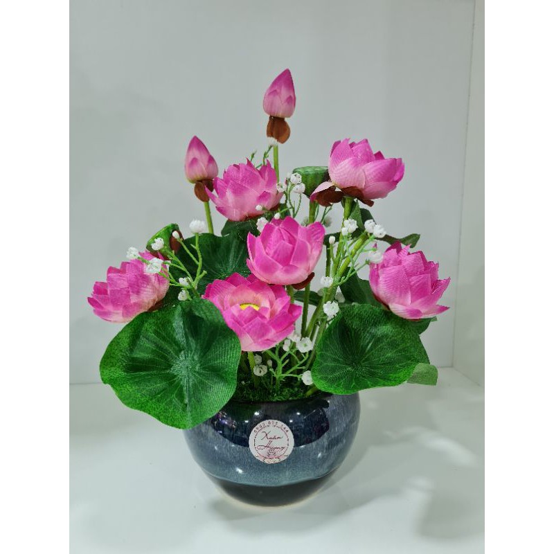 Chậu hoa sen nhiều size, 3 màu