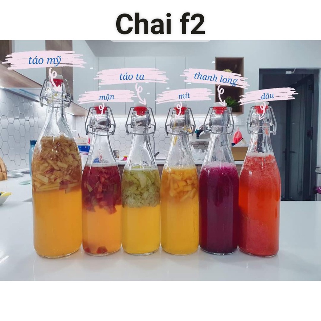 Nấm scoby/kombucha kèm nước mồi làm trà kombucha