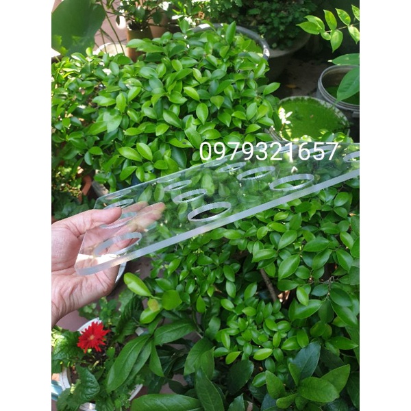 Khay mica bày tháp nước đền, đình chùa, nhà thờ 7 tầng