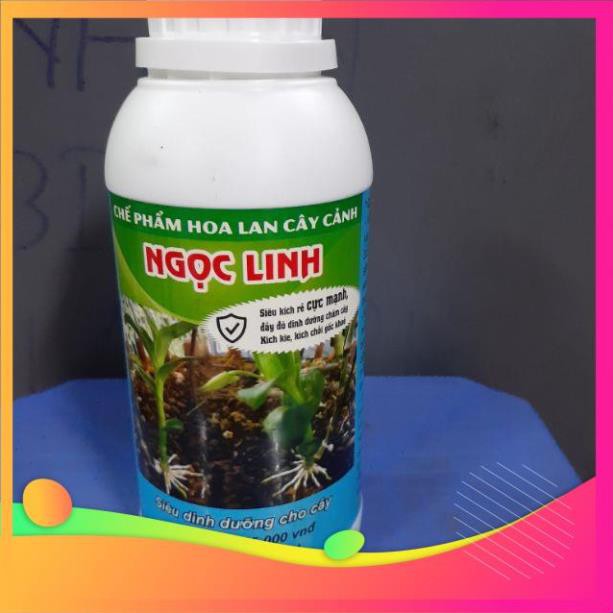 Chế phẩm kích rễ Ngọc Linh chai 500ml