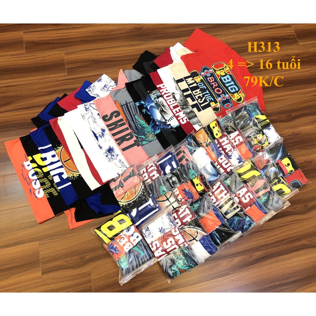 * Mã H313:  Áo bé trai cotton hàng VNXK dư xịn. Chất cotton mềm, thấm hút mồ hôi BC 9373