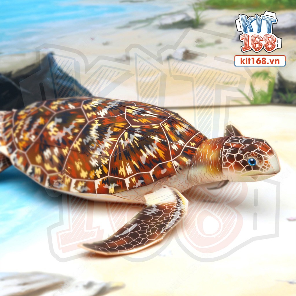 Mô hình giấy động vật Rùa biển