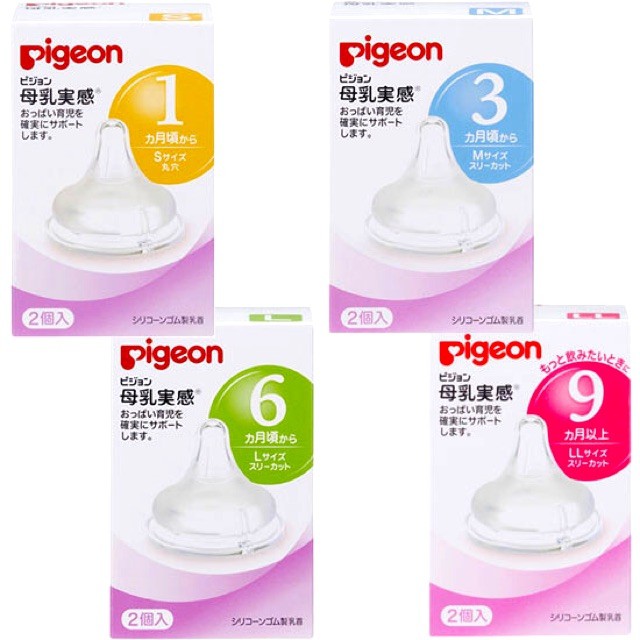 NÚM TY PIGEON NỘI ĐỊA NHẬT