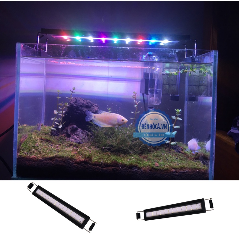 Đèn hồ cá ĐỔI MÀU 6 DÃY LED với 3 chế độ màu dành cho hồ cá cảnh