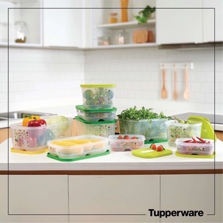 Bộ hộp trữ mát Ventsmart 4, 5, 6, 7, 9 hộp - Chính hãng Tupperware Việt Nam (Vensmart)